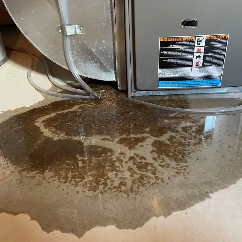 Pipe Burst and Leak Restoration in Bedford County, PA