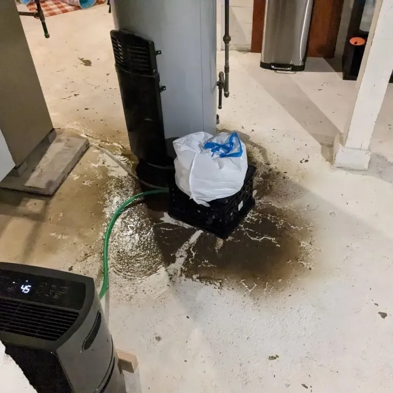 Sewage Backup Cleanup Service in Bedford County, PA